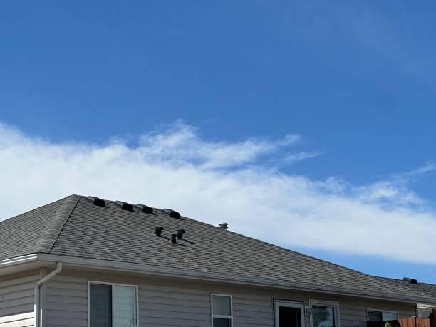 Best Metal Roofing Installation  in Santa Anna, TX